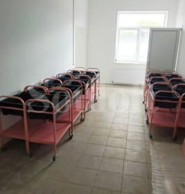 Розовый проект 10